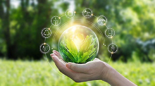 4 Immediate Reasons to Focus on Sustainability