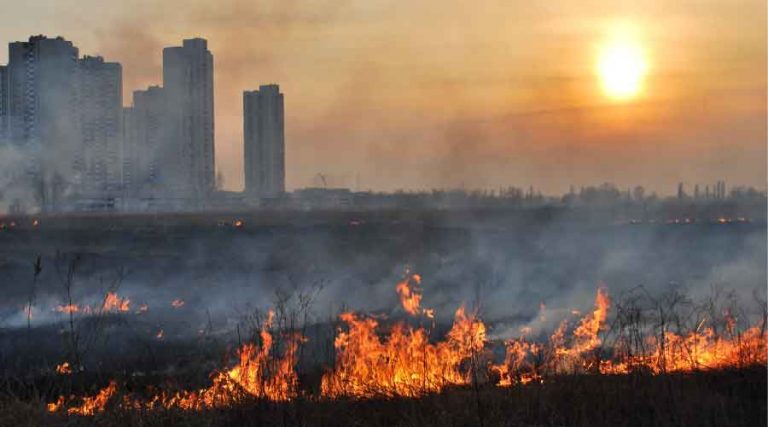 How to Protect Facilities from Losses Due to Wildfires