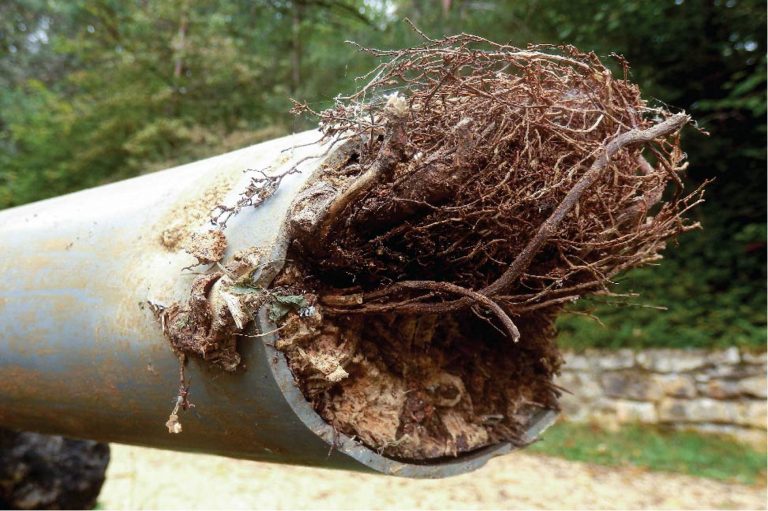 Tips for Successful Sewer System Maintenance