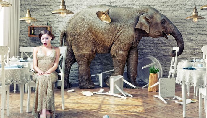 How to talk about the elephant in the room