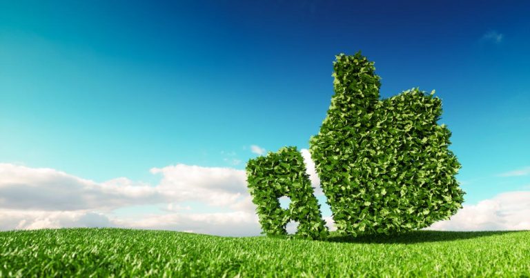The compelling case for being ‘climate positive by design’