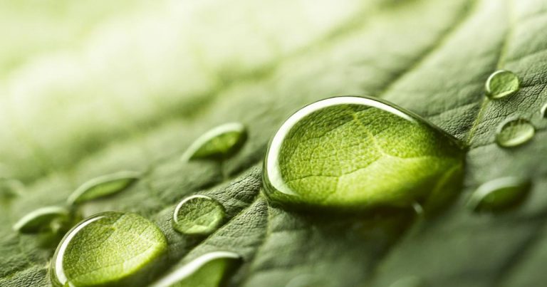 Study up on natural capital