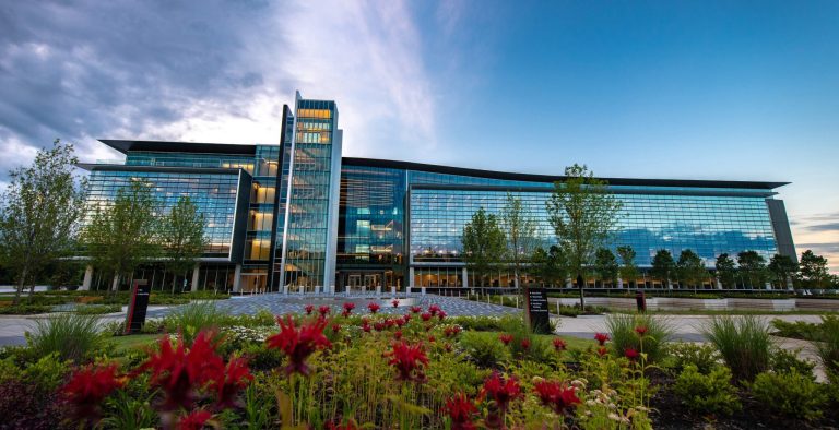 How to go green with your landscaping