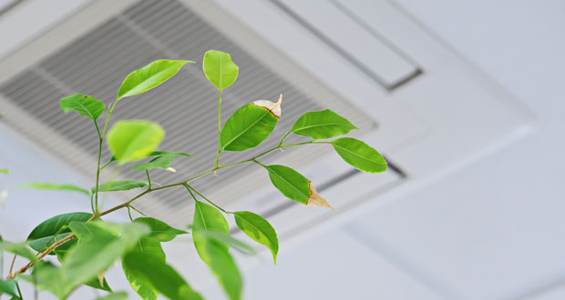 Over half of UK hybrid workers are concerned about indoor air quality