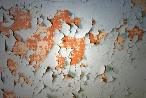 Back to Basics: How to Address Lead Paint in Your Facilities