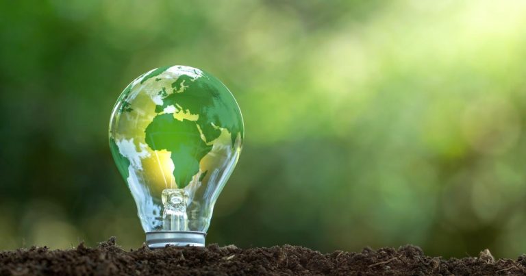 Cut carbon and costs: How data can deliver for your company