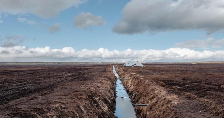 The year ahead for water: Creative destruction