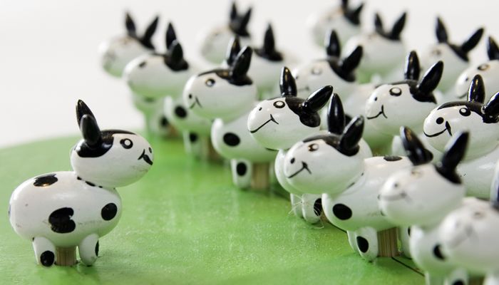 Company culture: the bigger picture