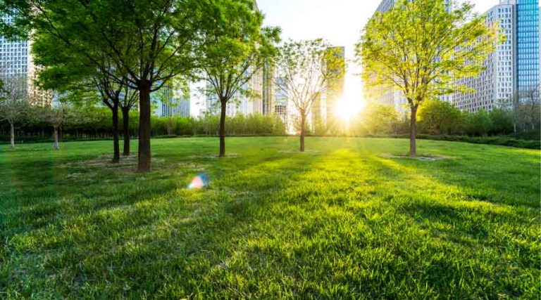 How to Connect Buildings and Building Occupants to Nature