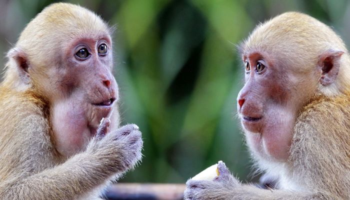 Talking about mental health