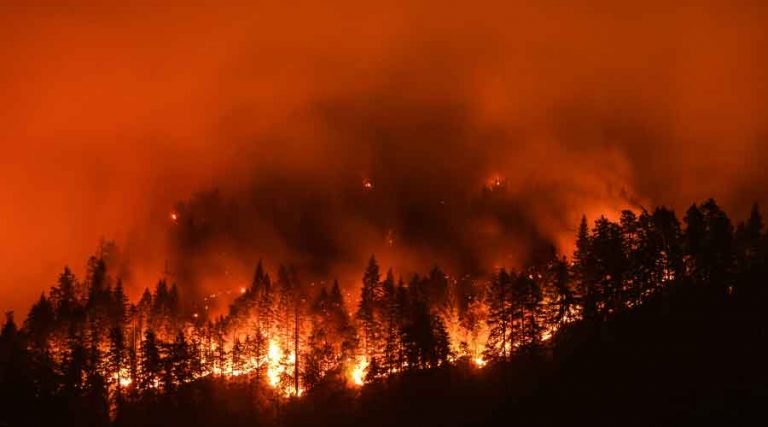Facility Managers Face Year-Round Wildfire Challenges