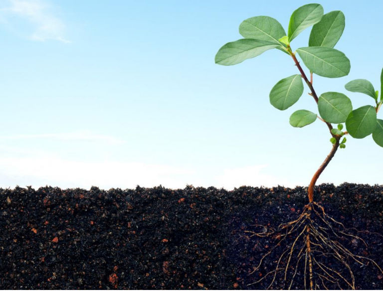 Reimagining people development to overcome talent challenges