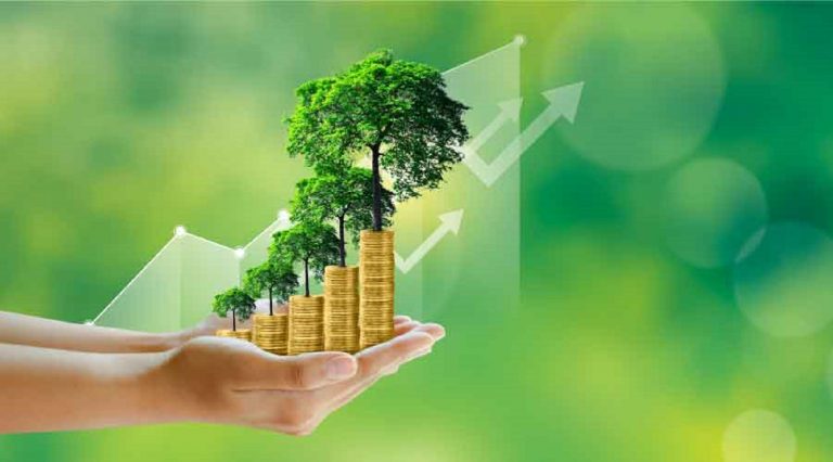 How to Build a Sustainability Program