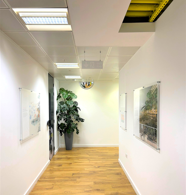 The Regen Initiative – Lighting the Way