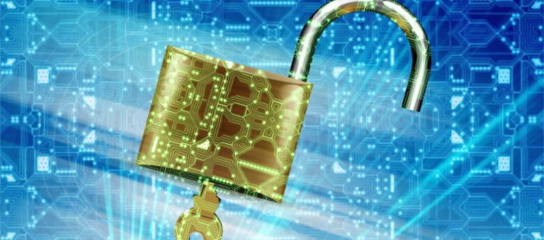 Looking for Intruder Protection