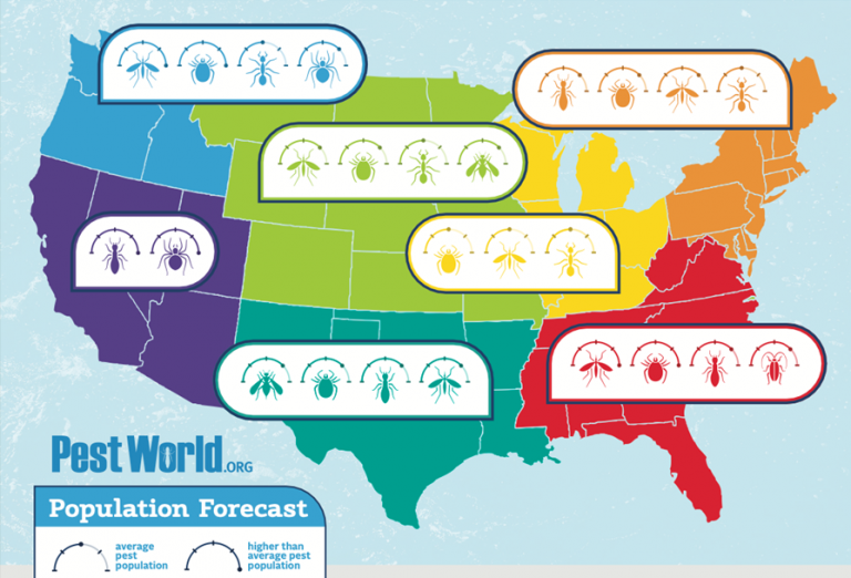 Are Your Facilities Ready for a Pest-Packed Season Ahead?
