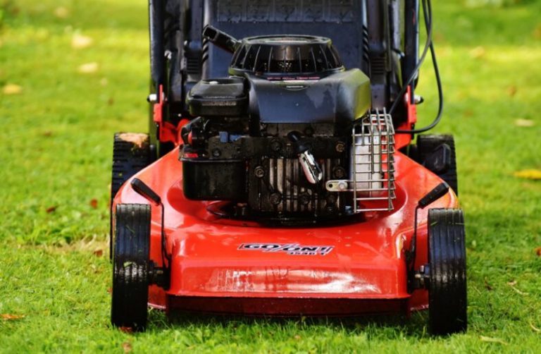Adding lawn care to your outdoor maintenance plan