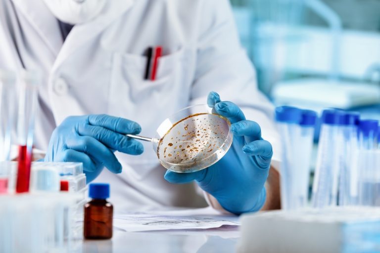Understanding Workplace Fungal Threats