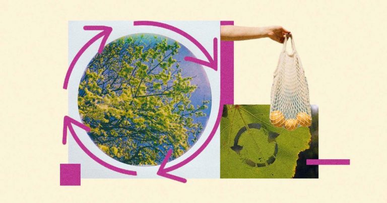 The circular economy is about avoiding waste and fixing broken value systems