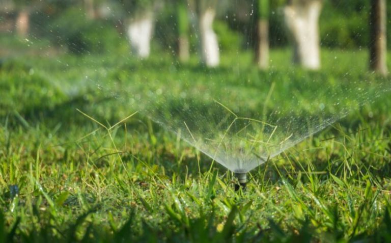 Making your groundskeeping greener