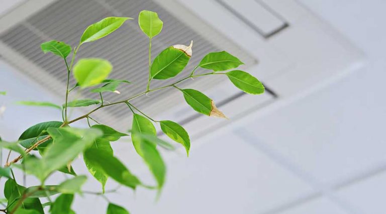 Measuring IAQ Is Crucial in Healthcare Facilities