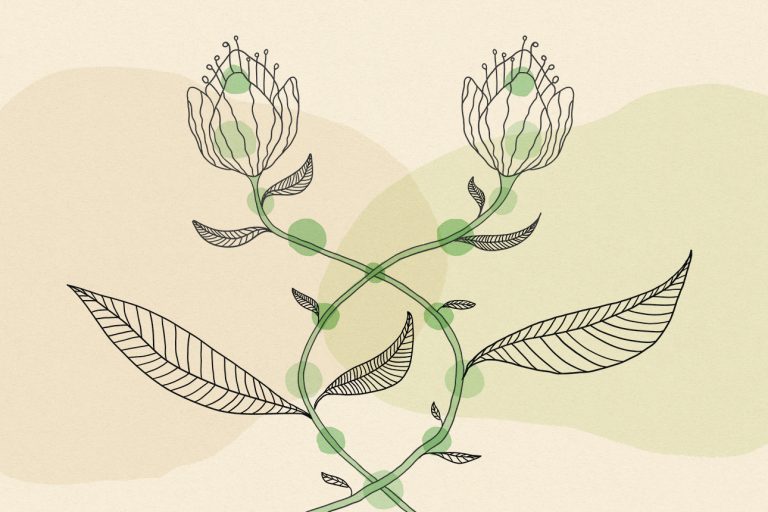 Sustainability Progress Is Stalled at Most Companies