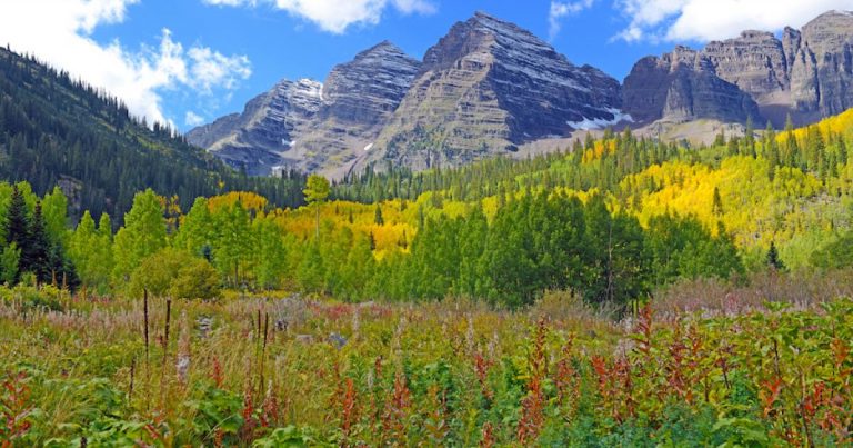 Direct air capture pact gets bipartisan backing