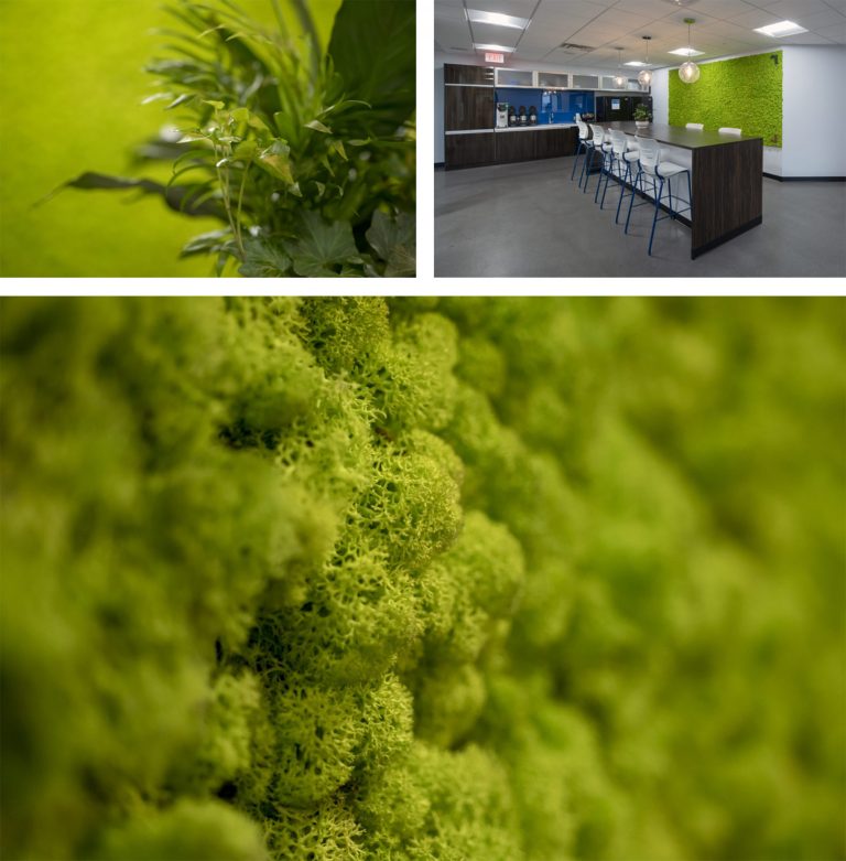 Transform your work environment with biophilic design