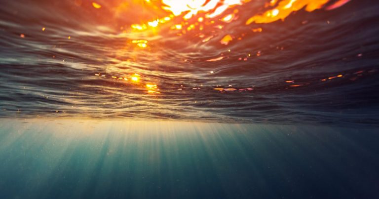 The future of sustainability: 4 fast-emerging trends