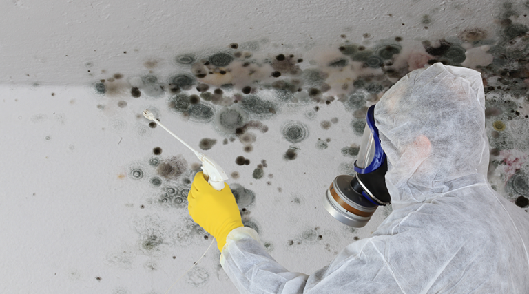Preventing Mold in Healthcare Facilities
