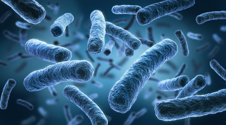 Preventing Legionella Bacteria Proliferation in Water Heaters
