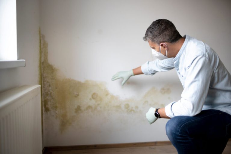 Avoiding summer mould in your building