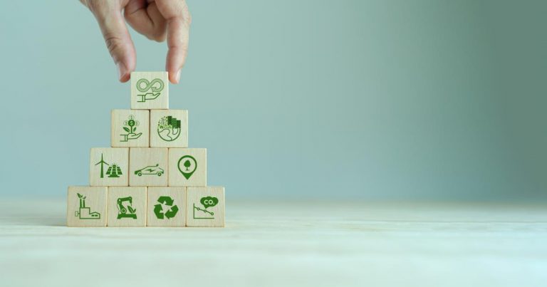 What real climate policy looks like