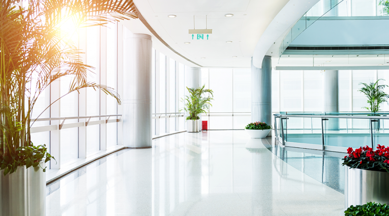 The Benefits of Biophilic Design in Healthcare Facilities