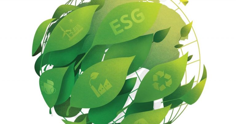 After a wave of criticism, what’s on the horizon for ESG strategy?