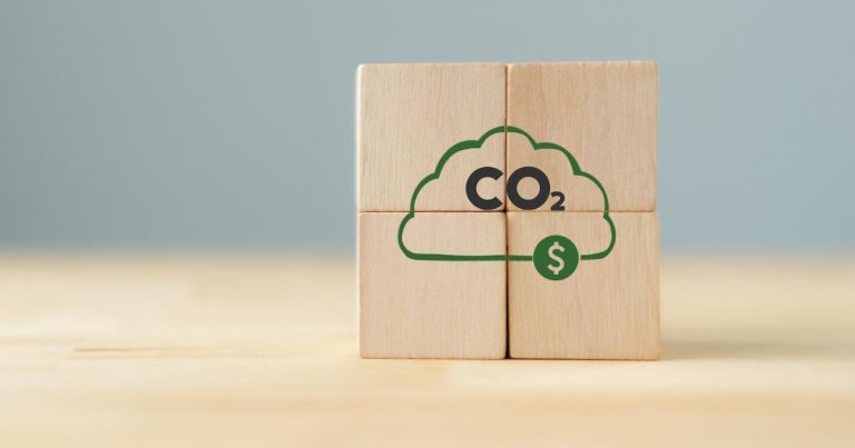 Study reveals how firms buying carbon credits are ‘outperforming’ peers on climate