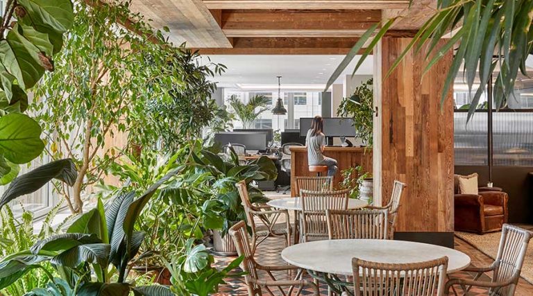 Designing a Healthy and Sustainable Workplace