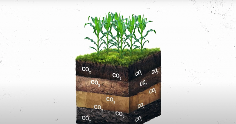 The most over- and under-hyped climate trends of 2023