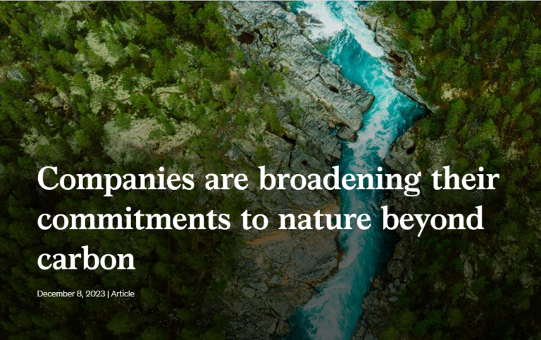 Companies are broadening their commitments to nature beyond carbon