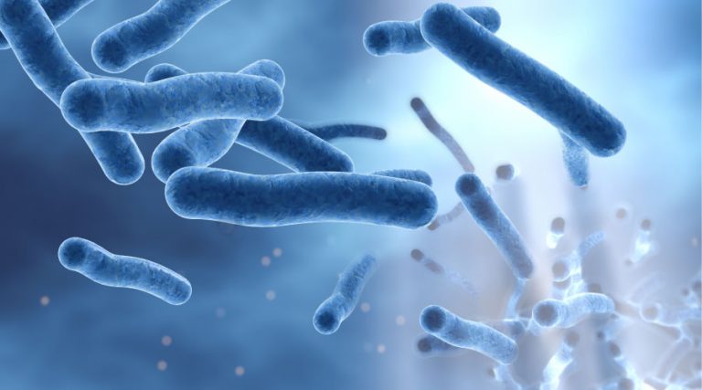 Unoccupied Buildings at High Risk for Legionella