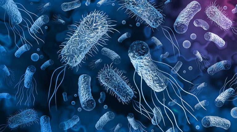 Study Finds Bacteria Stick Around Even After Cleaning