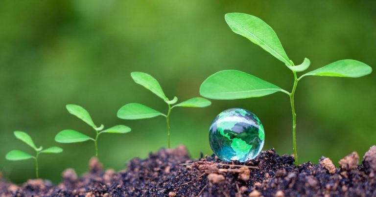 4 critical steps to embed sustainability into your organization