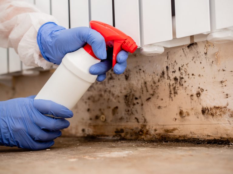 3 Essential Tools for Maintaining Air Quality in Mold Remediation