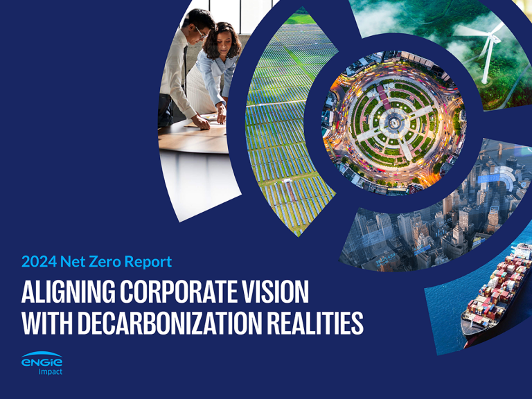2024 Net Zero Report: Aligning Corporate Vision With Decarbonization Realities