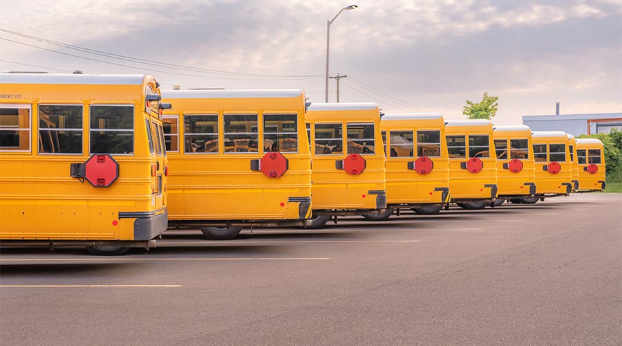 row of yellow school buses