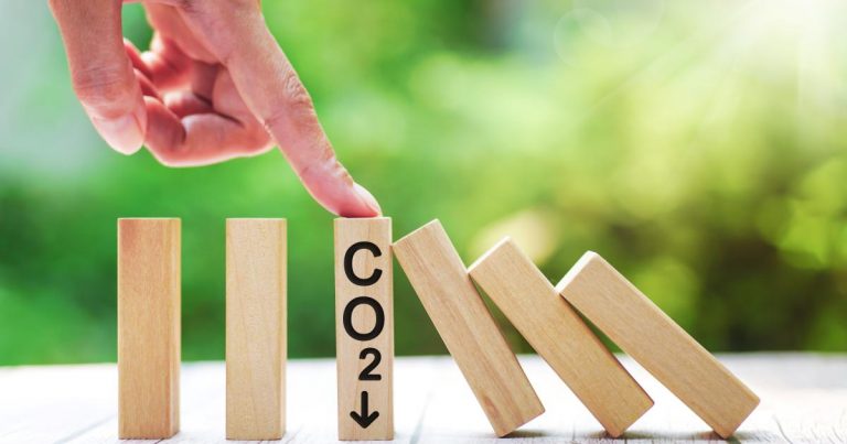 The domino effect of transport sector decarbonization