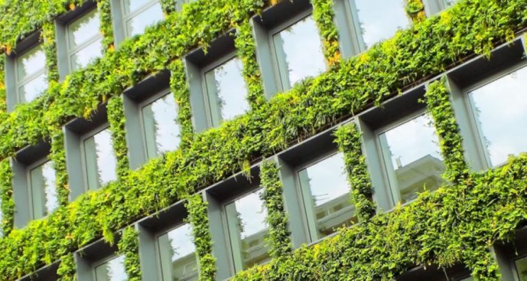 Comprehensive guide to green buildings is released