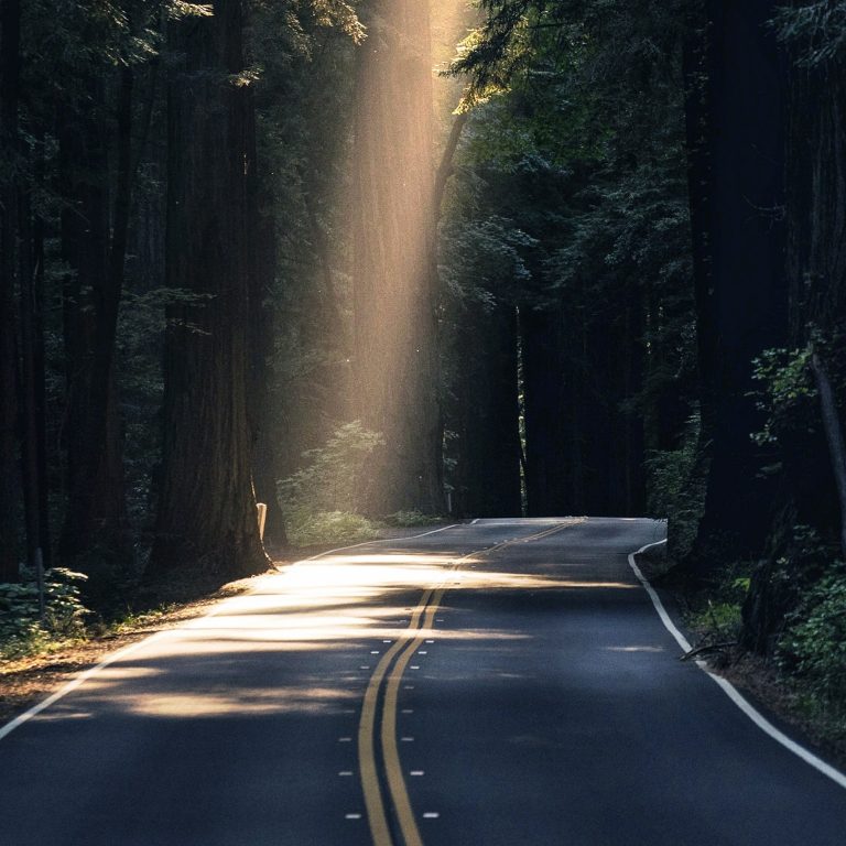 Building a resilient tomorrow: Concrete actions for global leaders