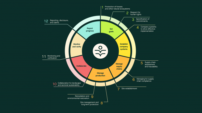 Seven steps to achieving responsible supply chains