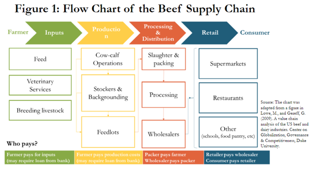 A flow chart that details the supply chain for the beef industry